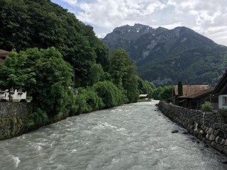 Ferienhaus Wilderswil Umgebung 30