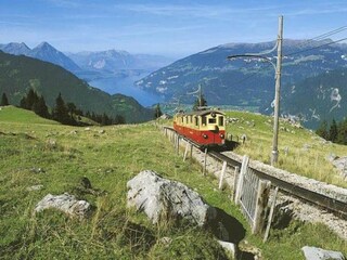 Vakantiehuis Wilderswil Omgeving 39