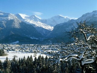 Vakantiehuis Wilderswil Omgeving 40