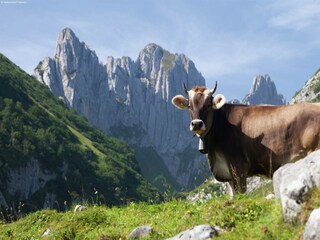 Chalet Saas-Balen Entorno 16