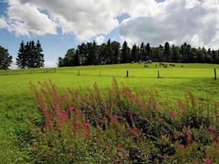 Chalet Saas-Balen Omgeving 18