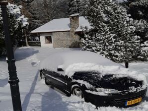 Spazioso chalet a Randogne, vicino alla foresta - Crans Montana - image1