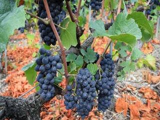 Chalet Crans-Montana Entorno 24