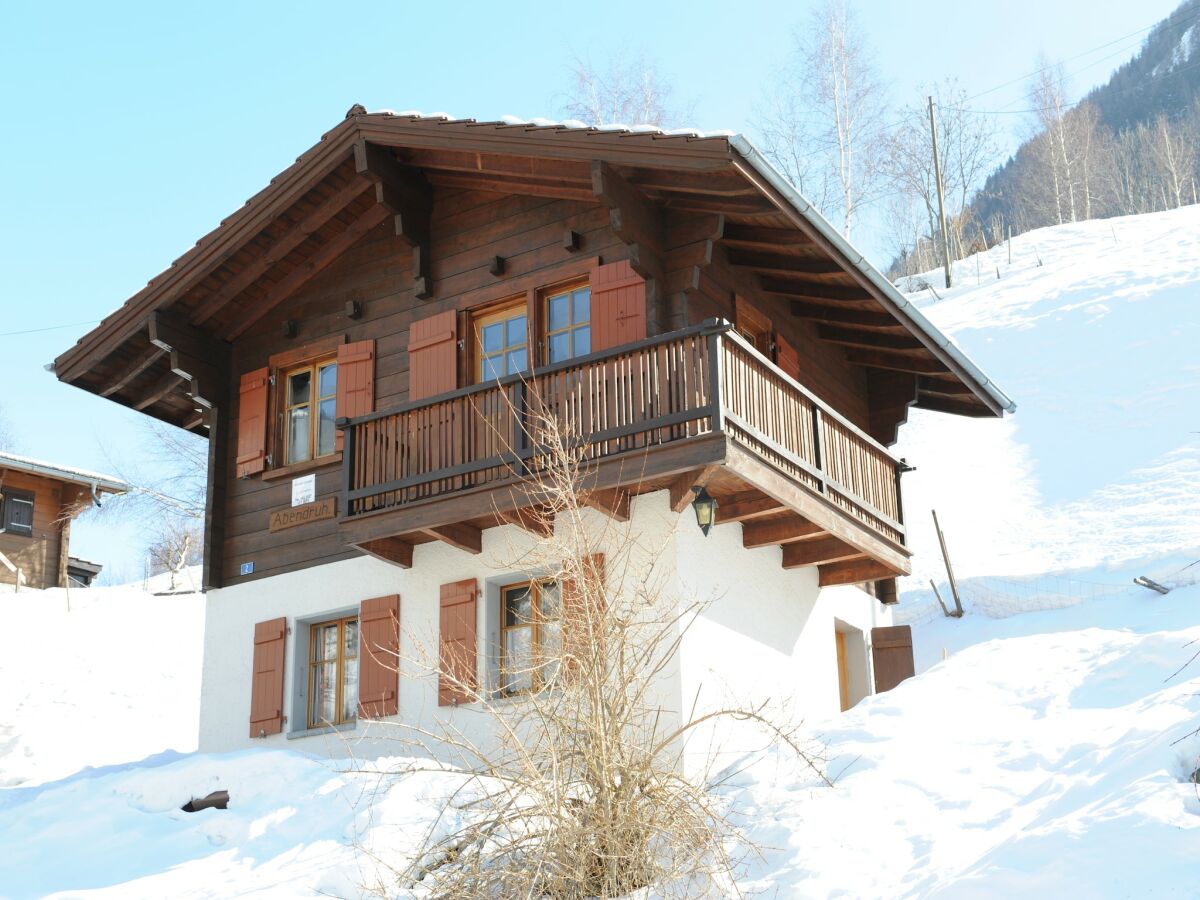 Chalet Bister Außenaufnahme 2