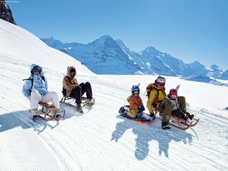 Chalet Bister Environment 20