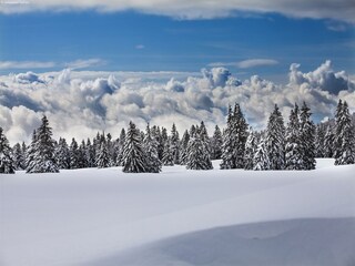 Chalet Bister Environment 21