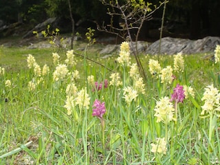 Apartamento Fieschertal Grabación al aire libre 2