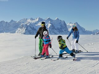 Chalet Fiesch Environment 28