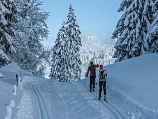 Chalet Fiesch Environment 29