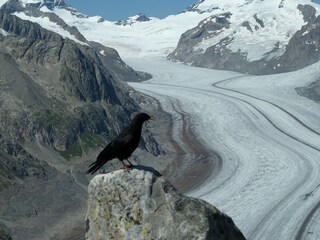 Chalet Fiesch Umgebung 26