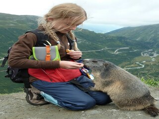 Chalet Fiesch Environnement 21