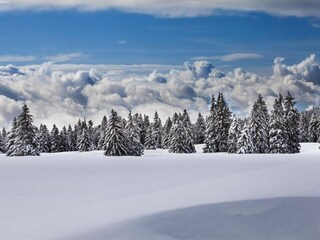 Vakantiehuis Grengiols Omgeving 33