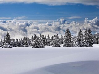 Maison de vacances Grengiols Environnement 24