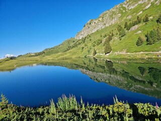 Casa per le vacanze Grengiols Ambiente 25