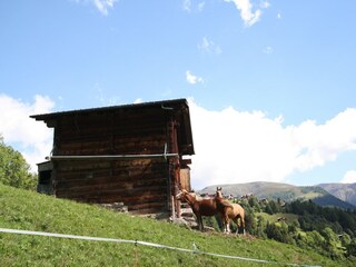 Appartement Bellwald Environnement 22