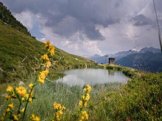 Apartamento Bellwald Entorno 19