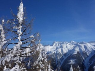 Appartamento Bellwald Ambiente 40