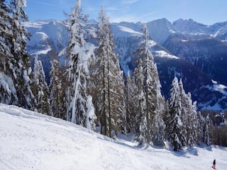 Appartamento Bellwald Ambiente 42