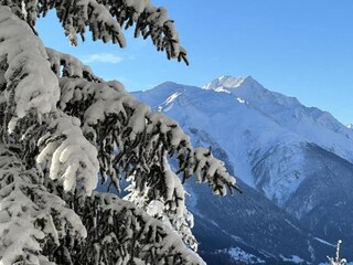 Apartamento Bellwald Entorno 33