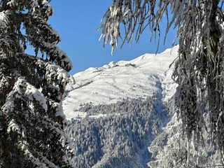 Appartamento Bellwald Ambiente 24