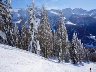 Appartamento Bellwald Ambiente 21