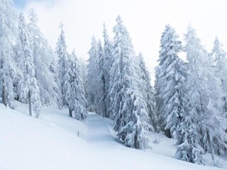 Appartamento Bellwald Ambiente 22