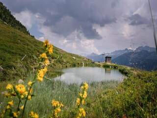 Apartamento Bellwald Entorno 30