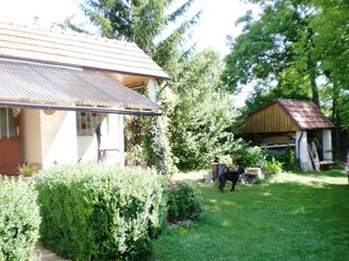 Ferienhaus Zvíkovec Außenaufnahme 13