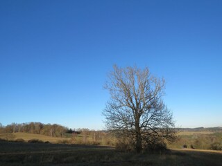 Ferienhaus Lesná u Tachova Außenaufnahme 2