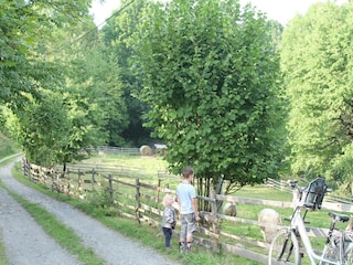 Ferienhaus Lesná u Tachova Umgebung 23