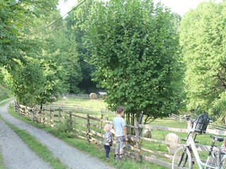 Vakantiehuis Lesná u Tachova Omgeving 23