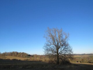 Vakantiehuis Lesná u Tachova Omgeving 30