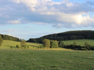 Casa de vacaciones Lesná u Tachova Entorno 32