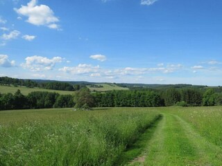 Maison de vacances Lesná u Tachova Environnement 30