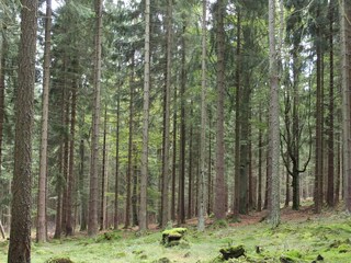 Casa per le vacanze Tachov Ambiente 15