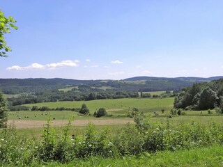 Maison de vacances Tachov Environnement 16