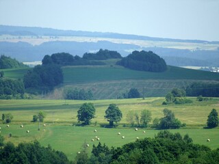 Maison de vacances Tachov Environnement 24