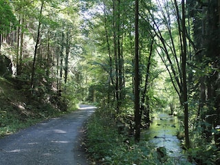 Maison de vacances Tachov Environnement 22