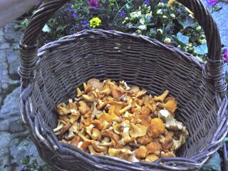 Casa de vacaciones Tachov  26