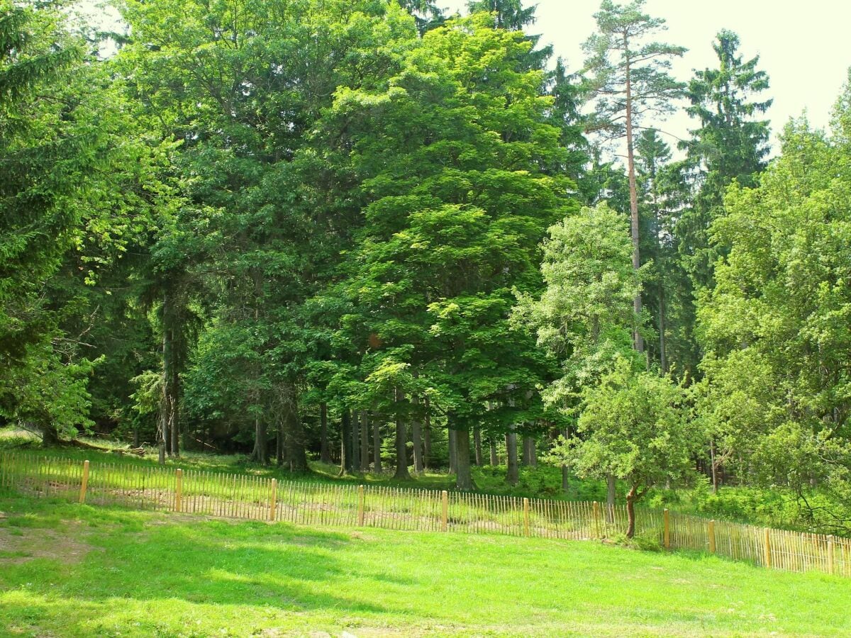 Ferienhaus Lesná u Tachova Außenaufnahme 1