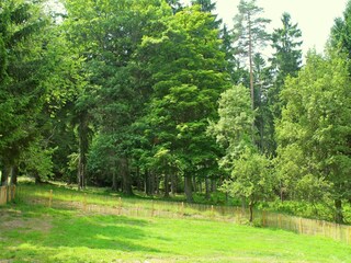 Vakantiehuis Lesná u Tachova Buitenaudio-opname 8