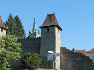 Vakantiehuis Lesná u Tachova Omgeving 28