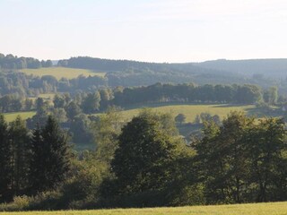 Vakantiehuis Lesná u Tachova Omgeving 27