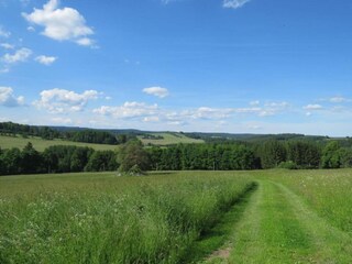 Vakantiehuis Lesná u Tachova Omgeving 22