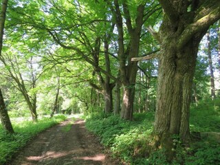 Vakantiehuis Lesná u Tachova Omgeving 32