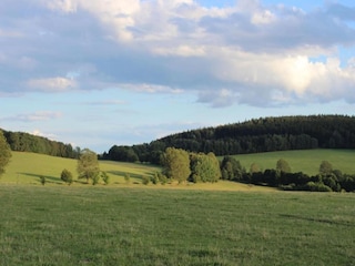 Ferienhaus Lesná u Tachova Umgebung 22