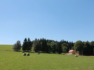 Vakantiehuis Lesná u Tachova Buitenaudio-opname 3