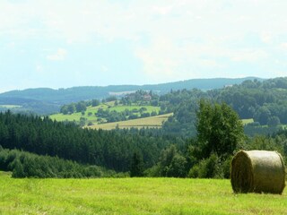 Ferienhaus Lesná u Tachova Umgebung 24