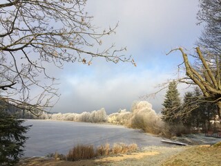 Maison de vacances Lesná u Tachova Environnement 26