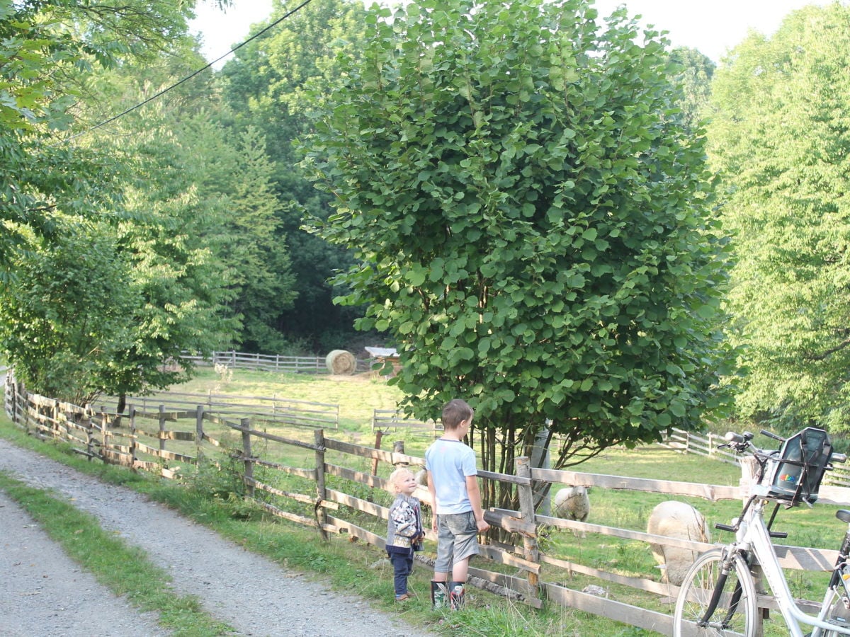 Ferienhaus Lesná u Tachova Umgebung 24